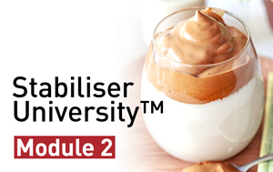 Stabiliser Uni 2